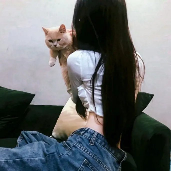 生命如歌
